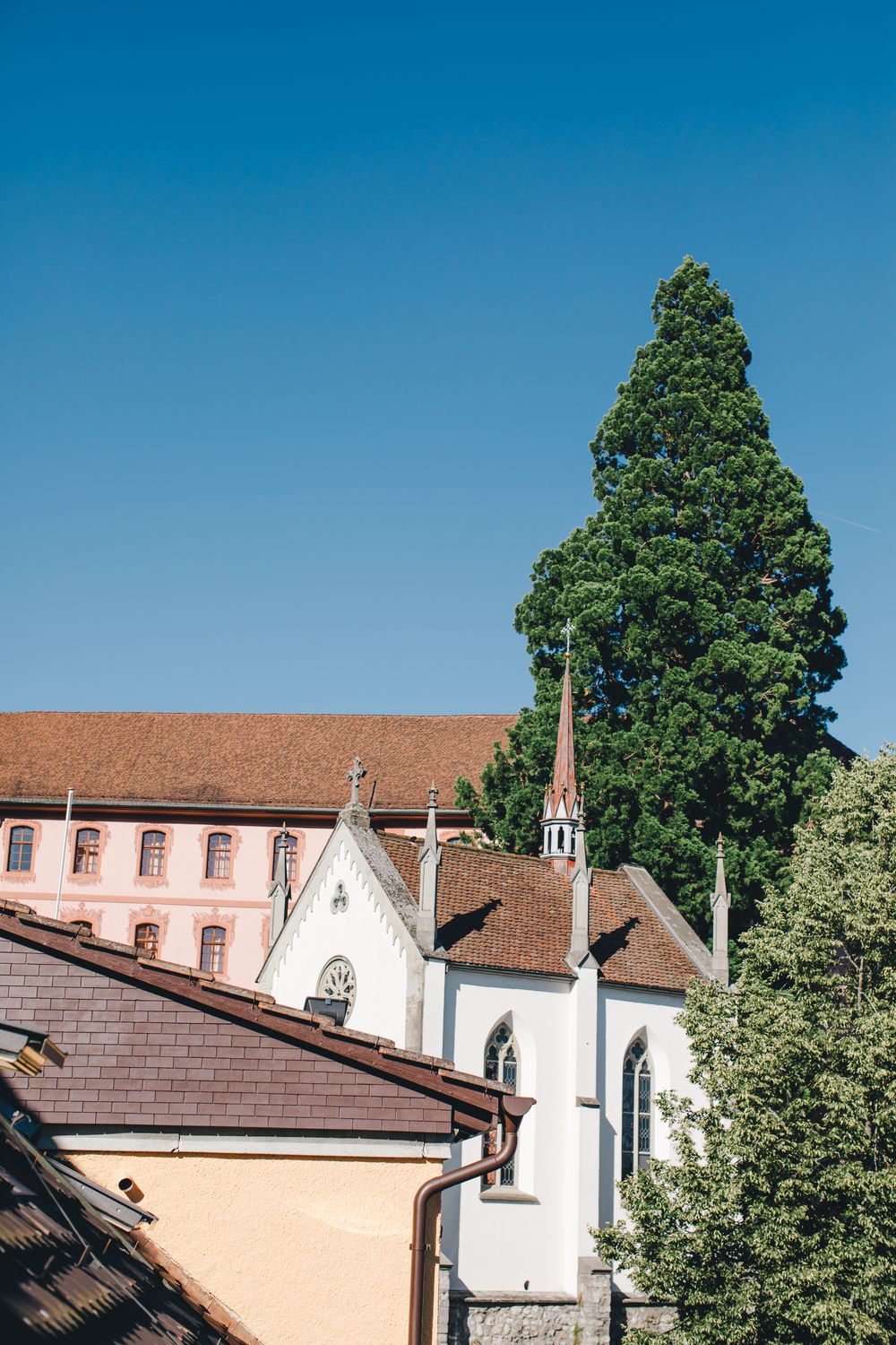 Die Kirche St. Pankratius über den Dächern von Hitzkirch